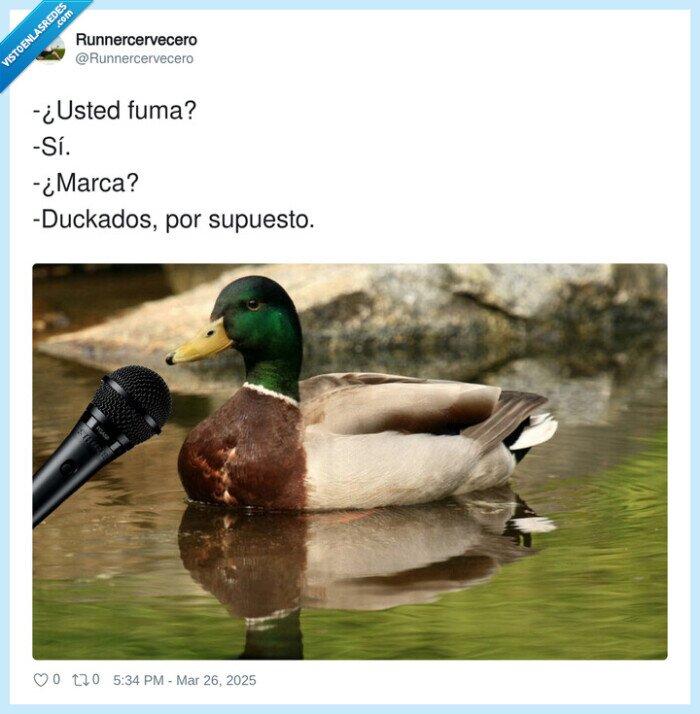 ducados,pato,marca,fumar