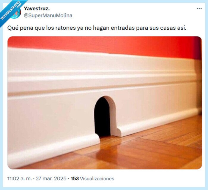 ratones,entrada,casa