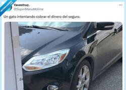 Enlace a Échale cara por @supermanumolina