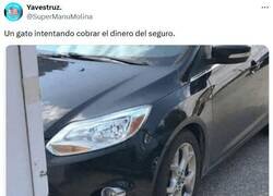 Enlace a Échale cara por @supermanumolina