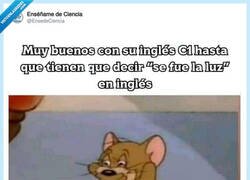 Enlace a Lamentable