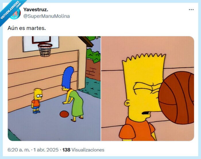 martes,los simpson,cara,pelotazo