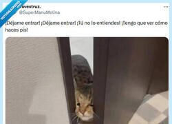 Enlace a Es importante en su cultura por @supermanumolina