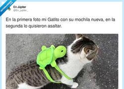 Enlace a La calle cada vez está más peligrosa, por @En_jupiter_