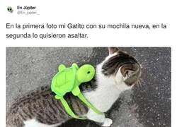 Enlace a La calle cada vez está más peligrosa, por @En_jupiter_