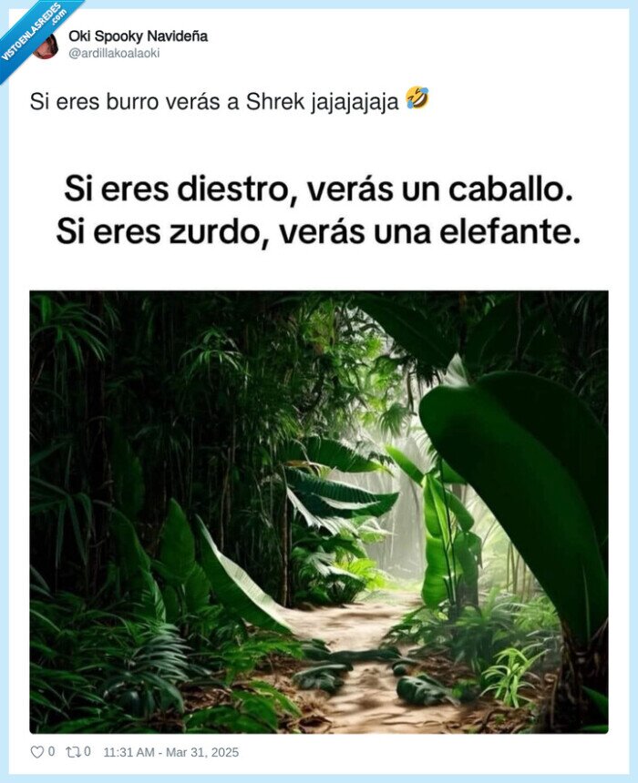 ilusión óptica,ver,burro,shrek