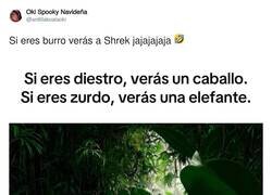 Enlace a Claramente Shrek, por @ardillakoalaoki