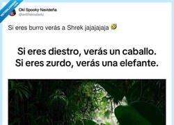 Enlace a Claramente Shrek, por @ardillakoalaoki