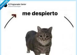 Enlace a Espero que tengas mejor suerte, por @5eniorDeveloper