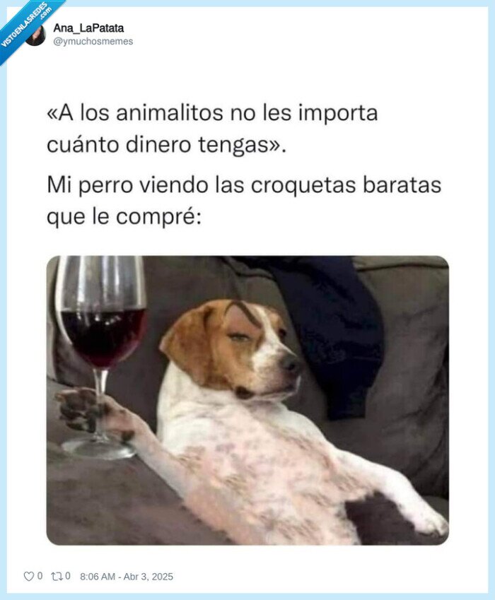 mascotas,dinero,preocupar