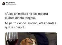 Enlace a Mis mascotas son demasiado exquisitas