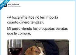 Enlace a Mis mascotas son demasiado exquisitas