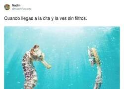 Enlace a Ahora a apechugar, por @NadimRevuelta