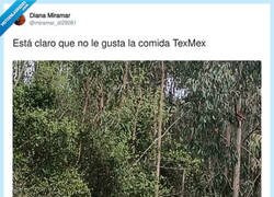 Enlace a A mí tampoco me gustan mucho esas fajitas, por @miramar_di29081