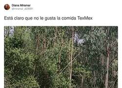 Enlace a A mí tampoco me gustan mucho esas fajitas, por @miramar_di29081