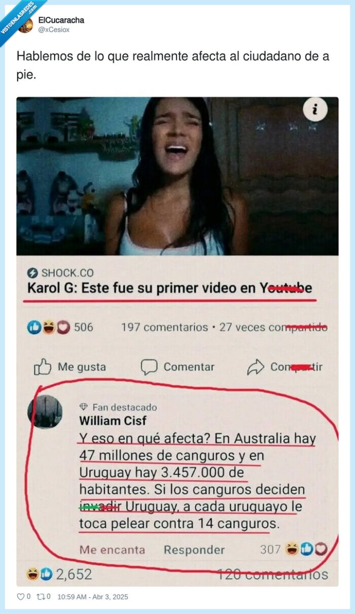 ciudadano,afectar,uruguay,canguros,lucha,australia