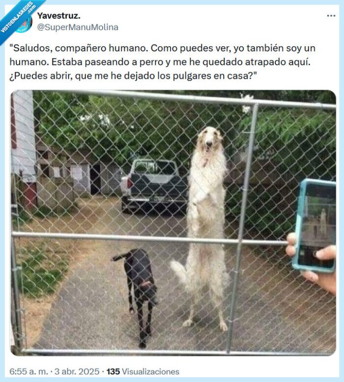 compañero,humano,perro