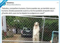 Enlace a Es algo sospechoso por @supermanumolina