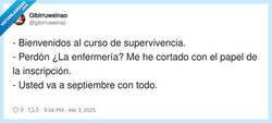 Enlace a Curso de supervivencia, por @gibirruweinao