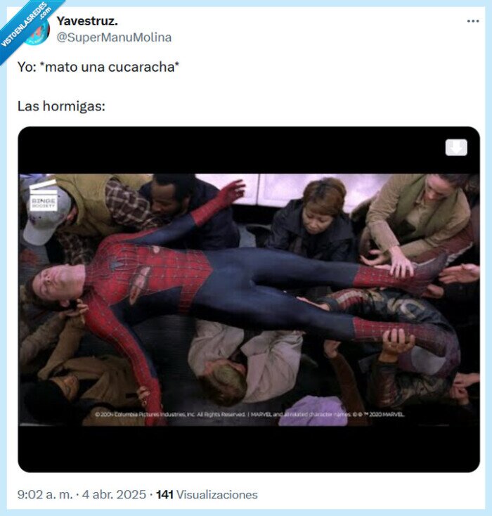 cucaracha,hormigas,matar