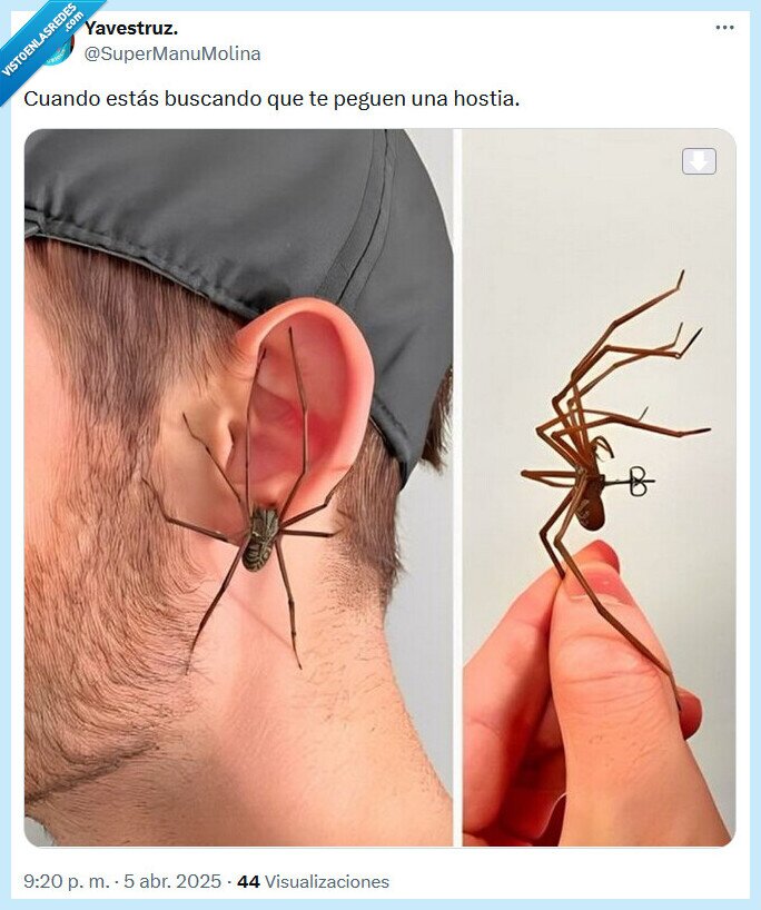 hostia,pegar,pendiente,araña
