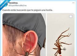 Enlace a ¡No te muevas! por @supermanumolina