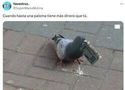 Enlace a Te lo restriega y te caga por @supermanumolina