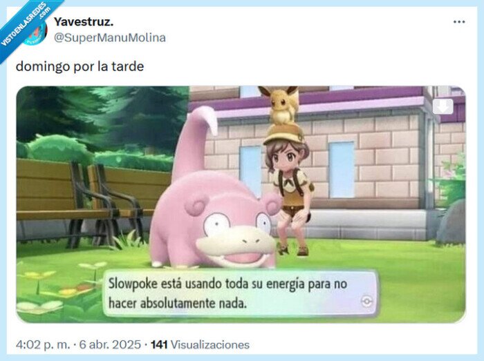 domingo,tarde,pokémon,slowpoke