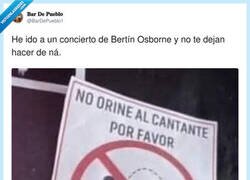 Enlace a Lo que la gente hace en los conciertos de Bertín Osborne, por @BarDePueblo1