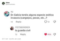 Enlace a Especies exóticas invasoras en Galicia, por @aleixoesfolador
