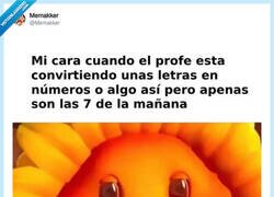 Enlace a ¿Será álgebra tal vez? por @Memakker