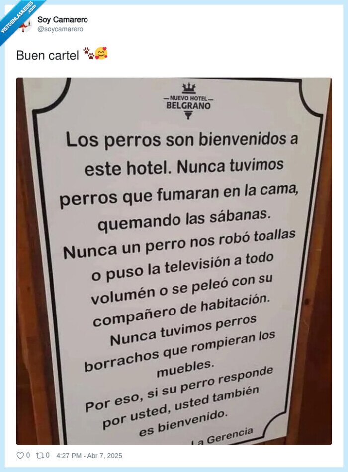 perros,hotel,hospedar