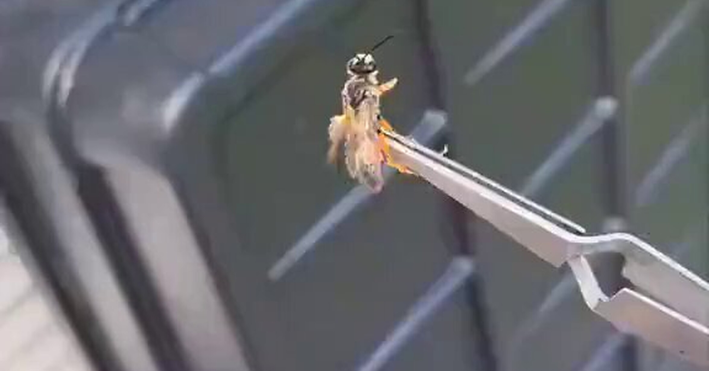 Si lo piensas bien, es espectacular lo que puede llegar a hacer una araña