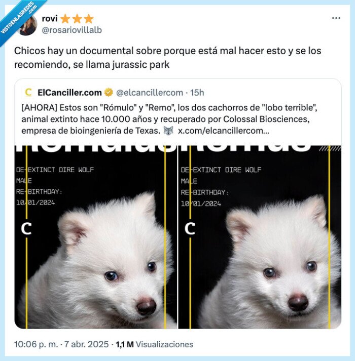 lobo terrible,extinto,de-extincion,lobo