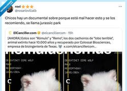 Enlace a Qué es lo peor que podría pasar, por @rosariovillalb