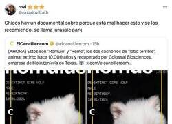 Enlace a Qué es lo peor que podría pasar, por @rosariovillalb