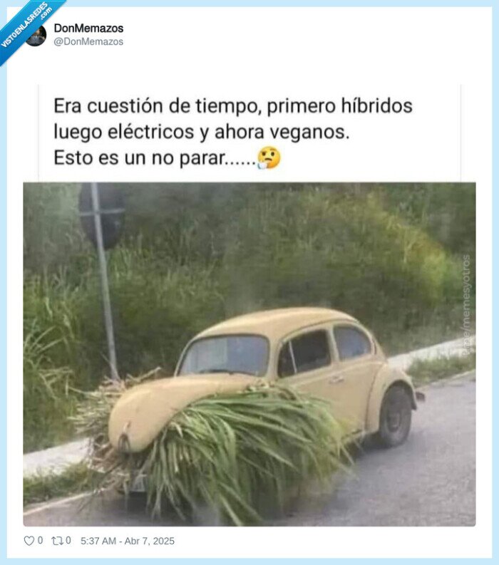 coche,hierba,comer