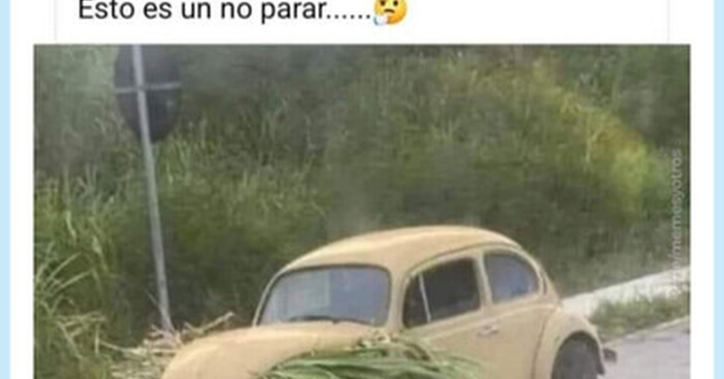 El veganismo ha llegado al sector automovilístico, por @DonMemazos