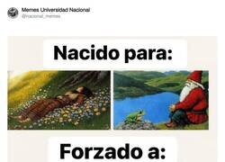 Enlace a La vida adulta