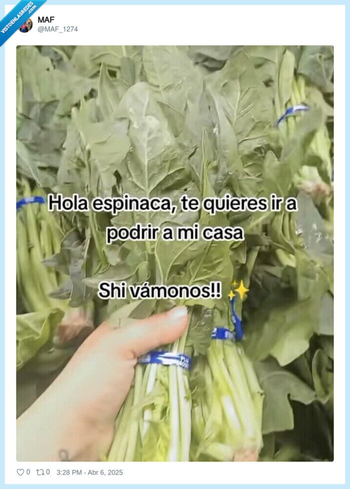 espinacas,comprar,nevera,podrirse