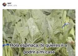 Enlace a Típico, compro verduras para que se pudran en mi nevera, por @MAF_1274