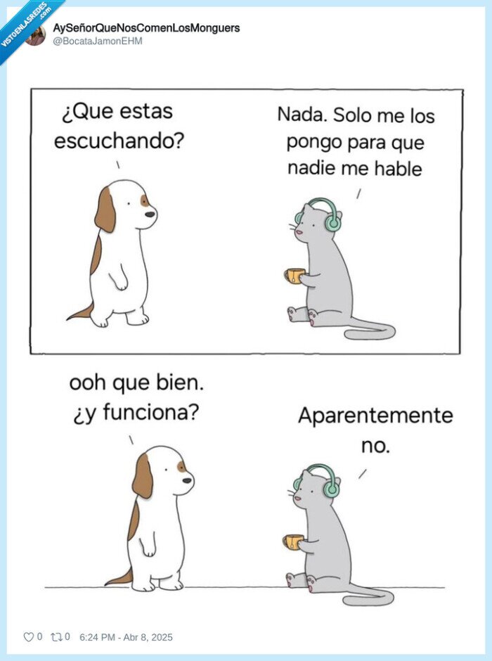 funcionar,escuchar,cascos,gato