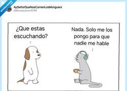 Enlace a No hay nada que evite que te rallen, por @BocataJamonEHM