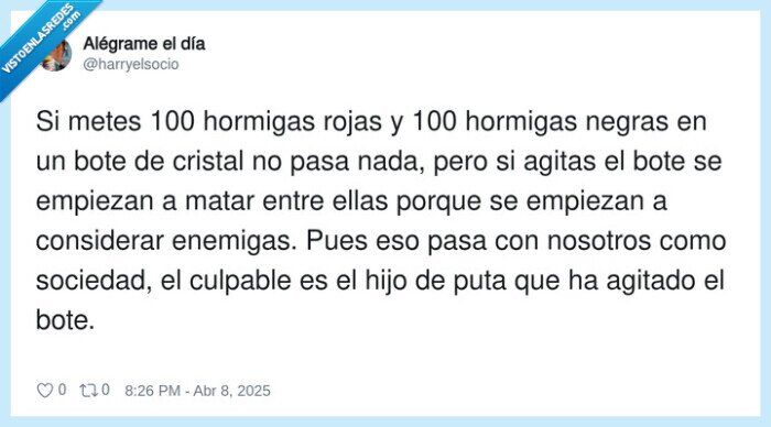 sociedad,hormigas,culpable,enemigas