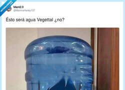 Enlace a Agua Vegettal, por @ManinaHarley137