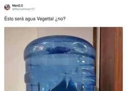 Enlace a Agua Vegettal, por @ManinaHarley137