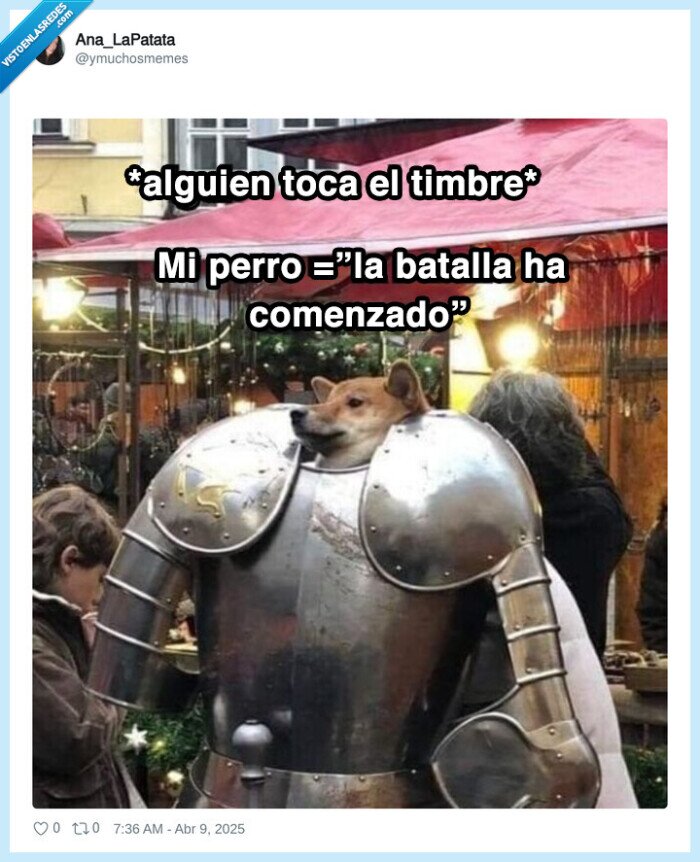 perro,armadura,batalla,timbre