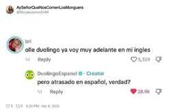 Enlace a Duolingo no se corta, por @BocataJamonEHM