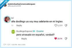 Enlace a Duolingo no se corta, por @BocataJamonEHM
