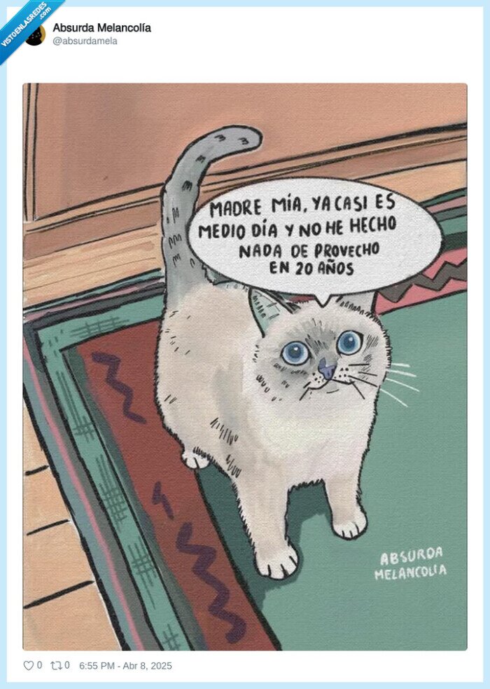 procrastinar,gato,cosas,hacer